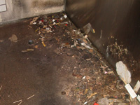 厨房機器下・裏側のゴミ　株式会社ACE